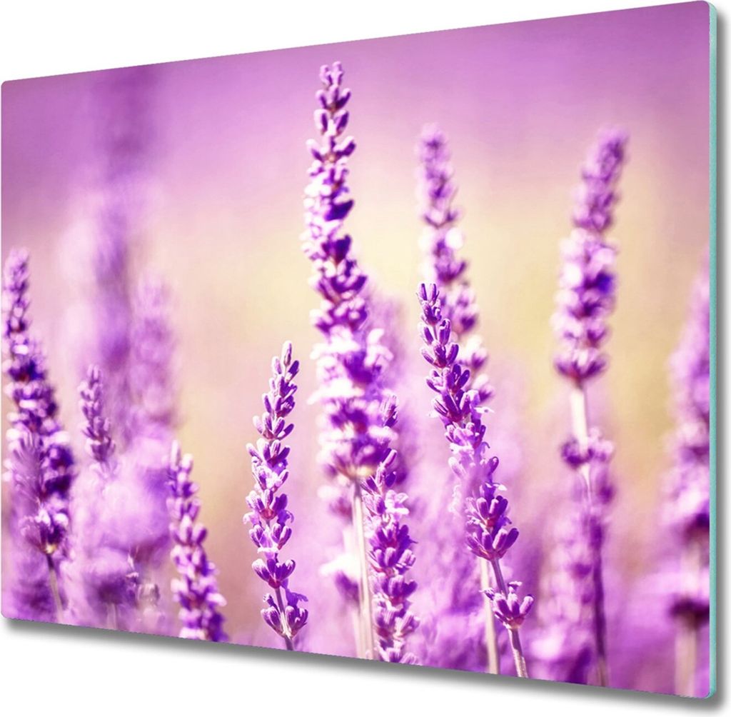 Glas Herdabdeckplatte 60x52 cm Spritzschutz Glasabdeckplatte Schneidebrett Lavendel
