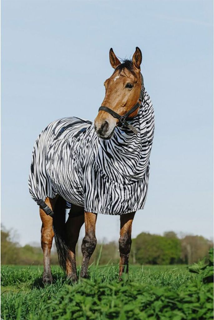 Equithème Riding World Zebra Anti-Ekzemerdecke