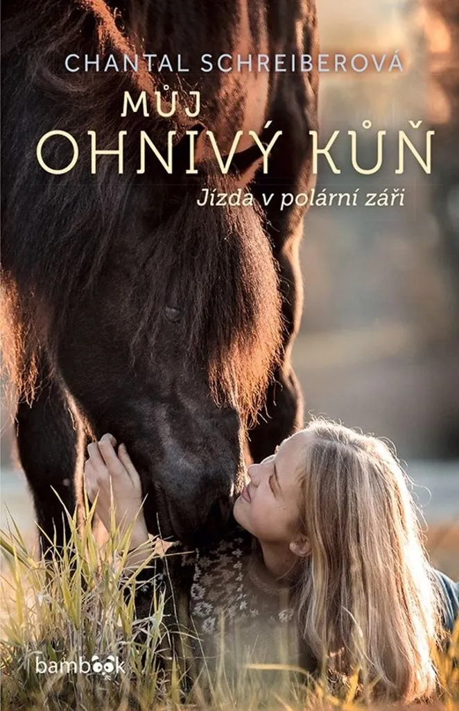 Roman d'aventure Jízda v polární záři pour ados par C. Schreiber