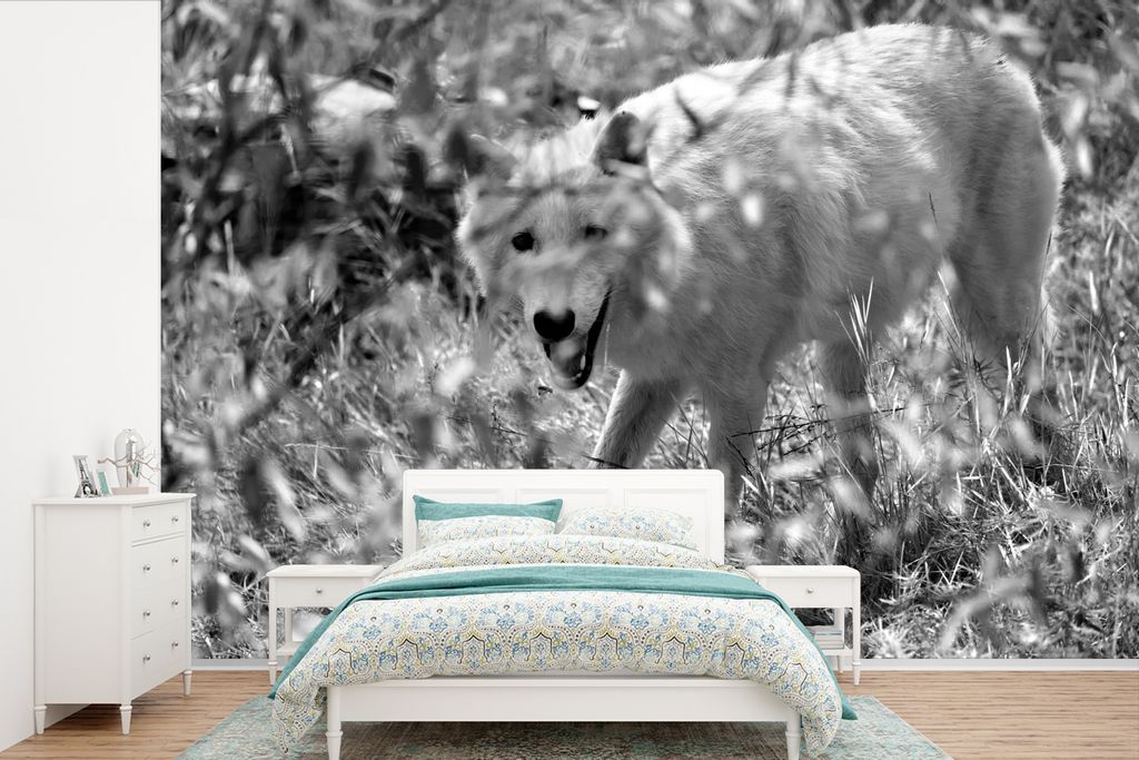 MuchoWow Fototapete für Wohnzimmer oder Schlafzimmer Wandtapete Vinyl Motivtapete Weißer Wolf im Gras in Schwarz und Weiß - 450x300 cm - Gemus...