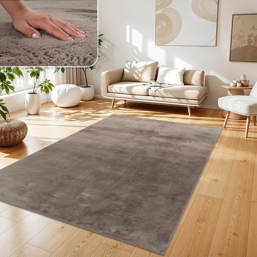 A living room scene with a rug, sofa, and plants.