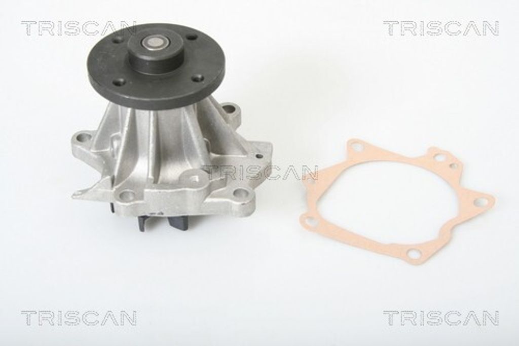 TRISCAN Wasserpumpe 8600 14008