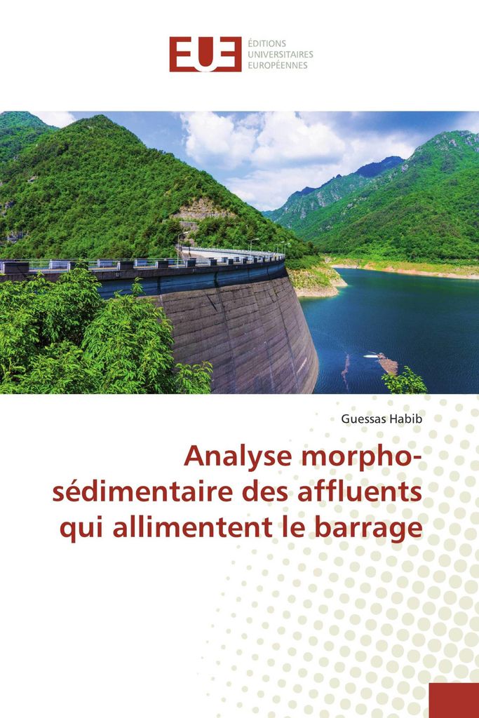 Analyse morpho-sédimentaire des affluents qui allimentent le barrage