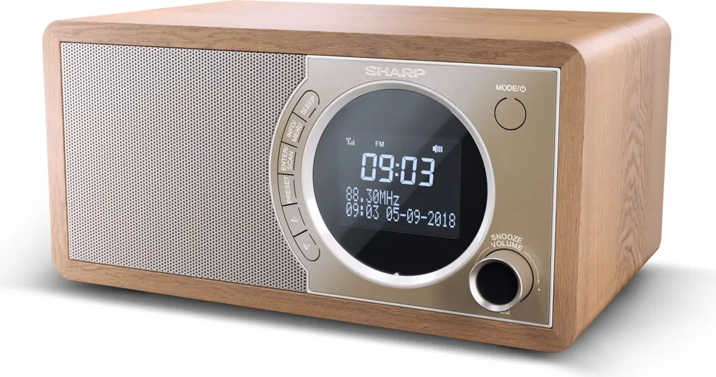 Radio Numérique DAB+ Sharp DR-450(BR) avec Enceinte Bluetooth en Bois - 8