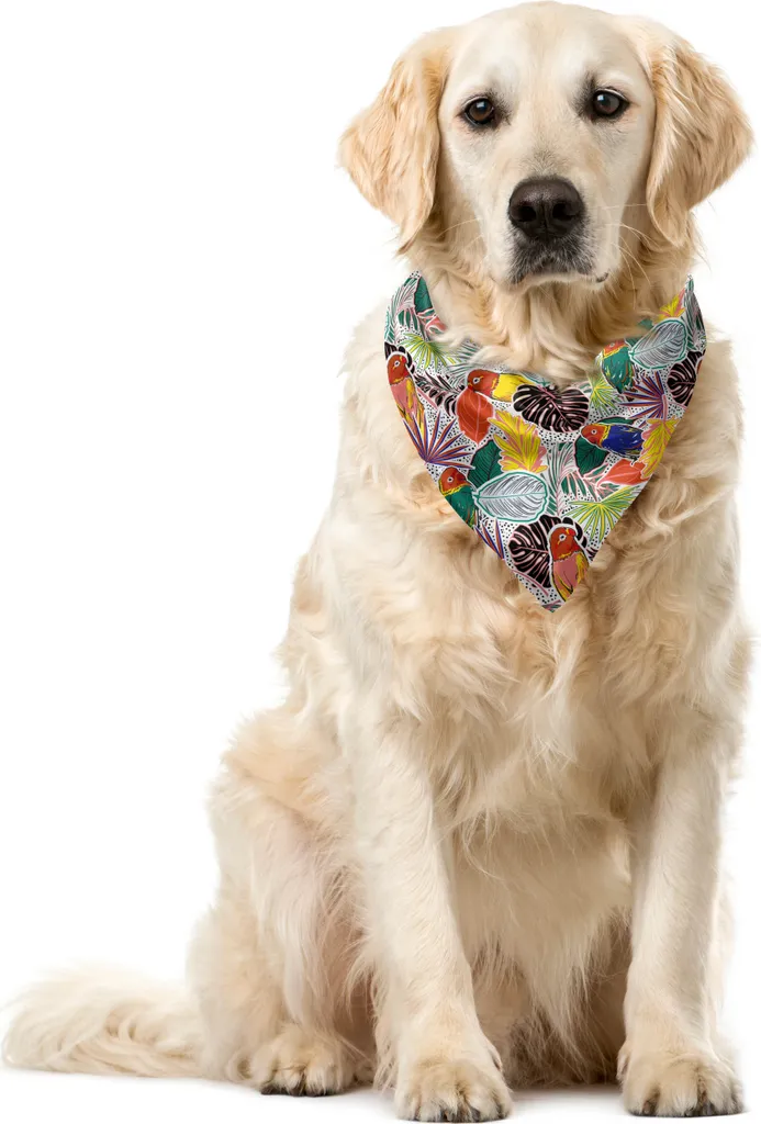 ABAKUHAUS Bandana per animali domestici con stampa uccelli, foresta tropicale colorata, 55x55 cm, multicolore