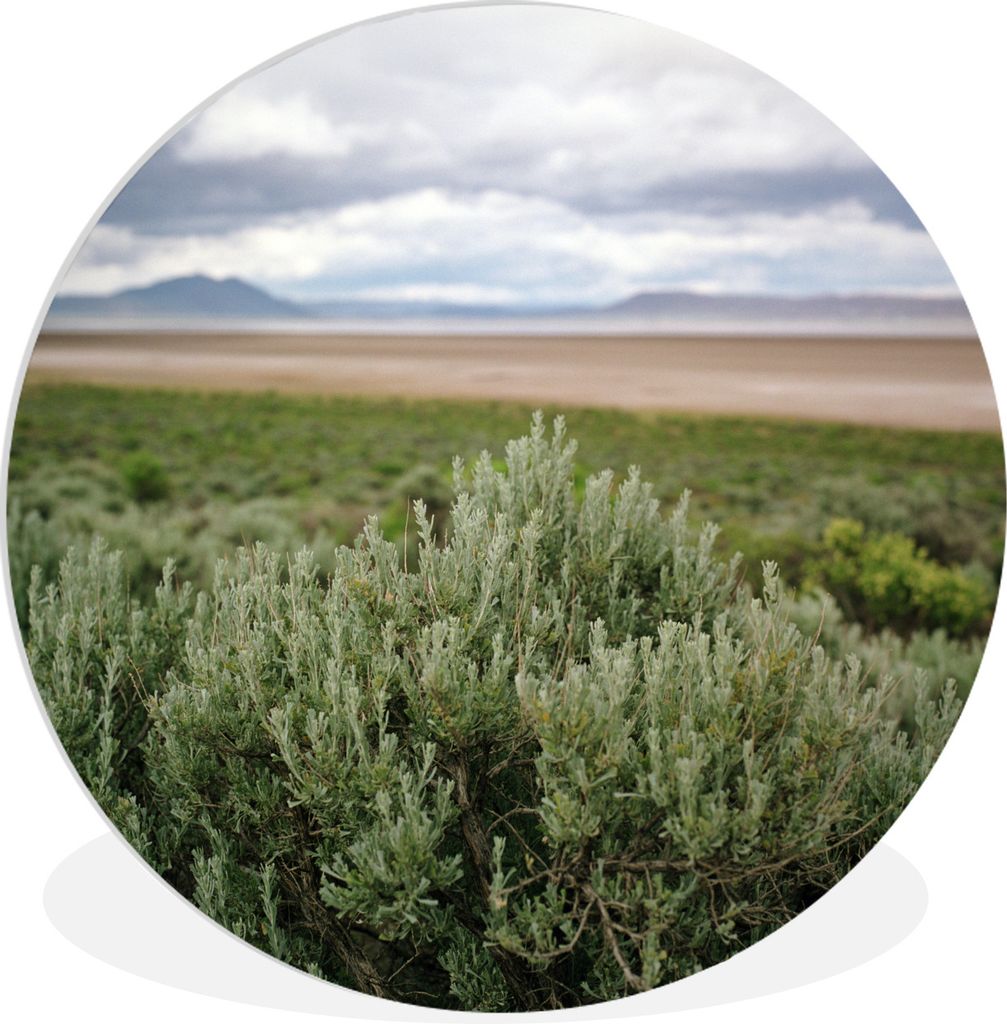 MuchoWow Rundes Wandbild - Runde Bilder Dramatischer Himmel über einem Wermutfeld in einer Wüste Ø 90 cm Kreis Wanddekoration Kunststoff - Wan...