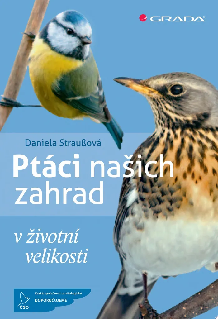 Livre oiseaux taille réelle avec fiches d'observation illustrées