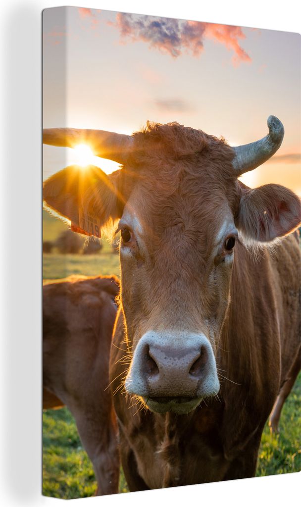 OneMillionCanvasses - Leinwandbilder - 90x140 cm, Kühe - Sonne - Wiese - Landleben, Wandbilder Kunstdruck Wanddekoration - Foto auf Leinwand - G...