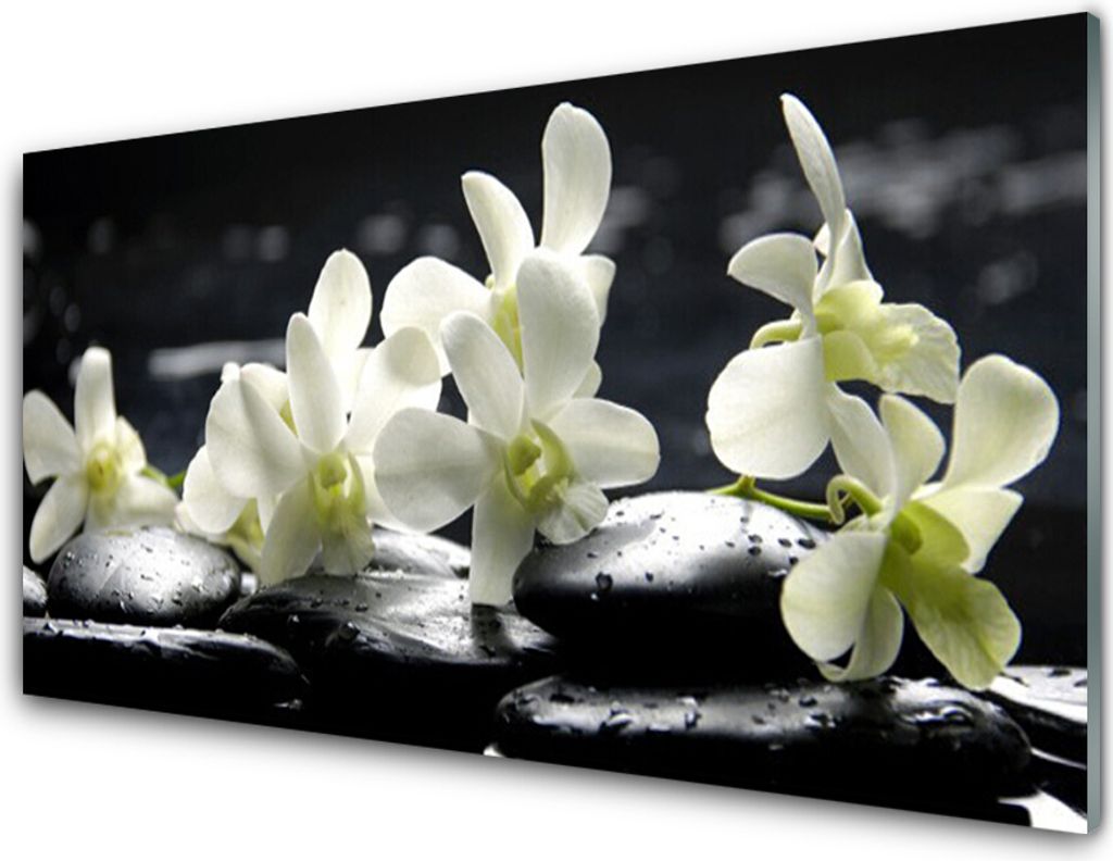 Acrylglasbilder 100x50 Wandbild Druck Blumen Steine Pflanzen