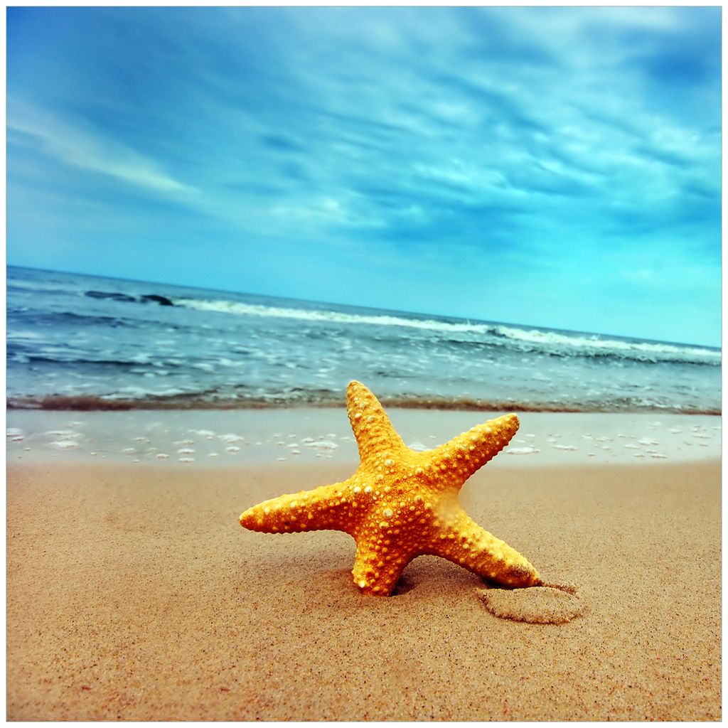 Wallario Möbeldesign - Glasplatte, Schutzplatte mit Motiv - geeignet für Ikea Lack Tisch, Größe: 55 x 55 cm, Motiv: Seestern am Strand am Meer