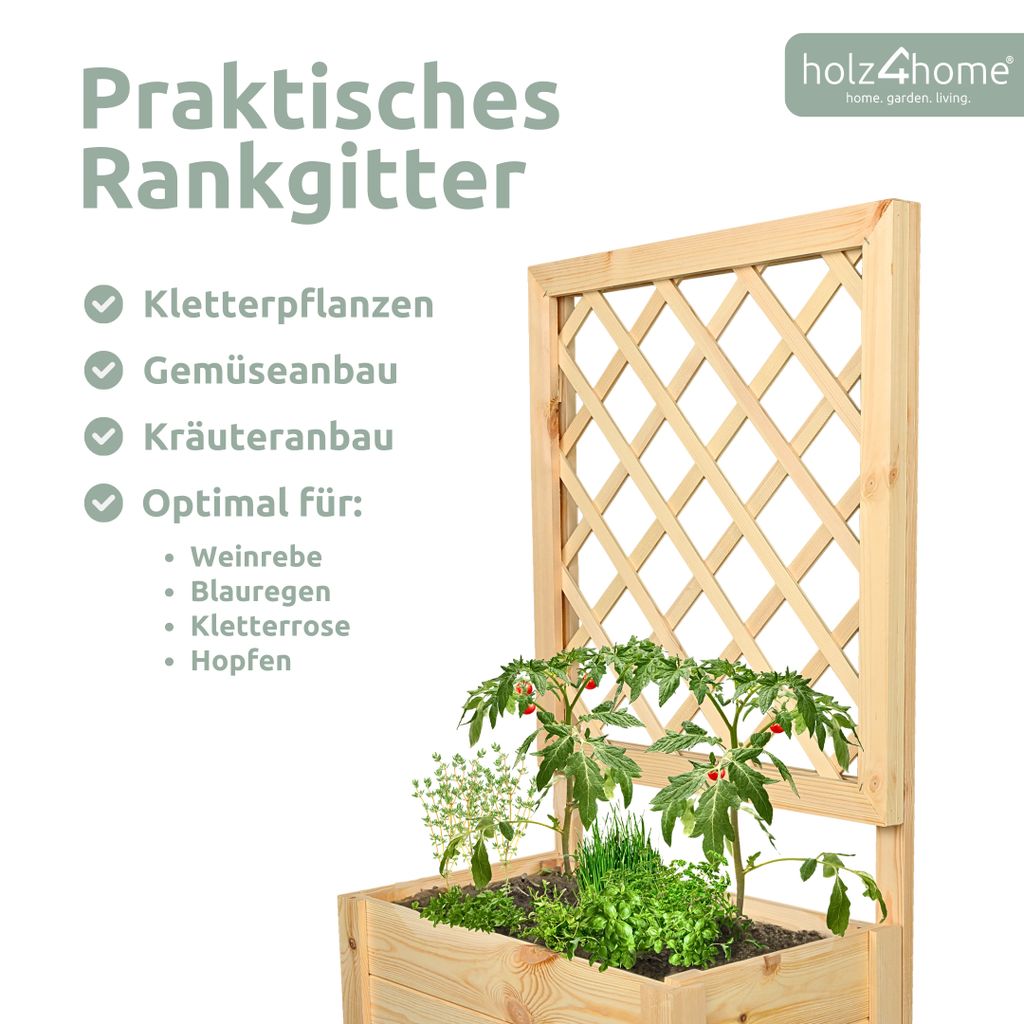 holz4home® Pflanzkasten mit Rankgitter S aus Kiefernholz I Produktbild 3