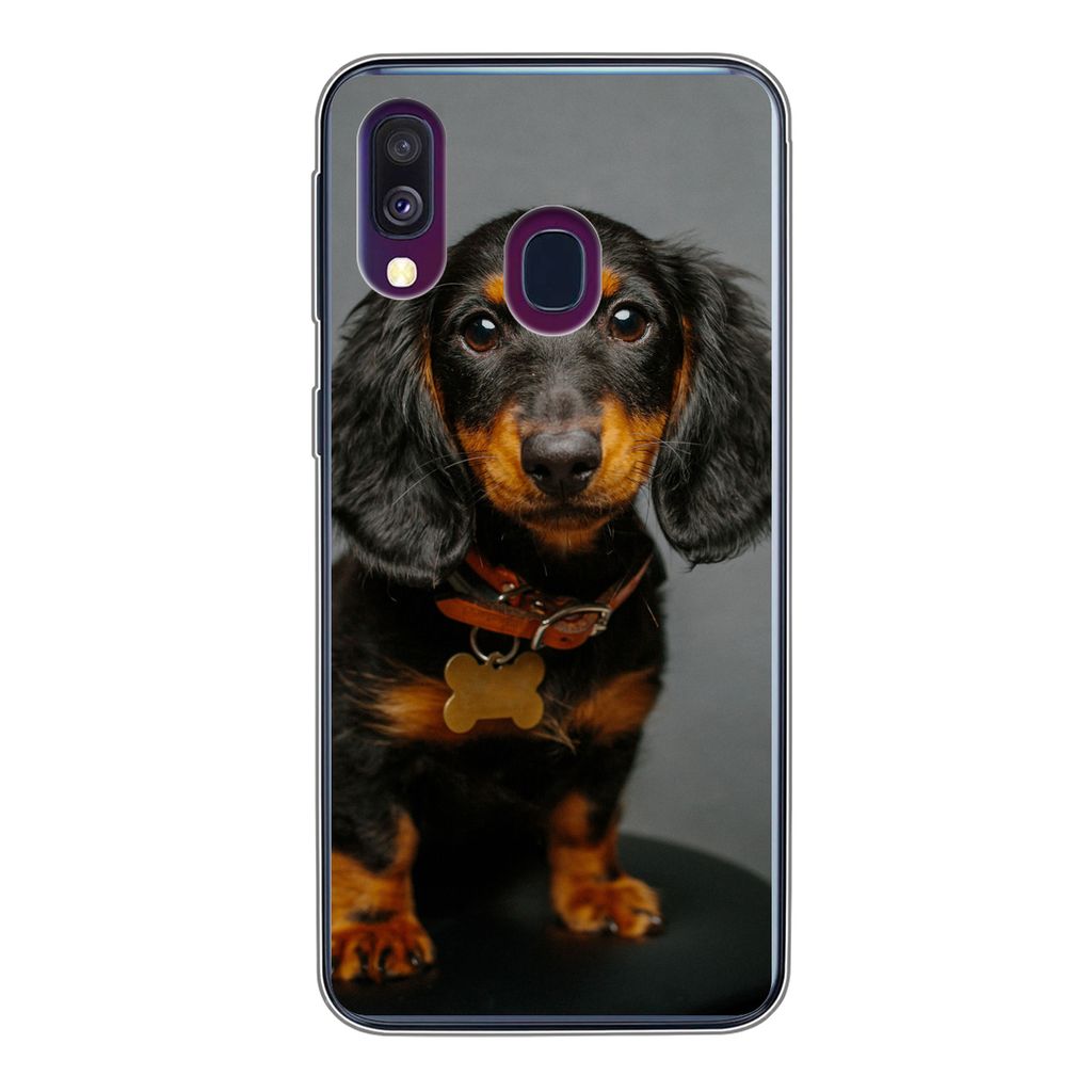 MuchoWow Handyhülle Schutzhülle Hülle für Samsung Galaxy A40 Studiofoto eines Dackelwelpen Silikon Softcase Handy Hülle - Handy-Tasche