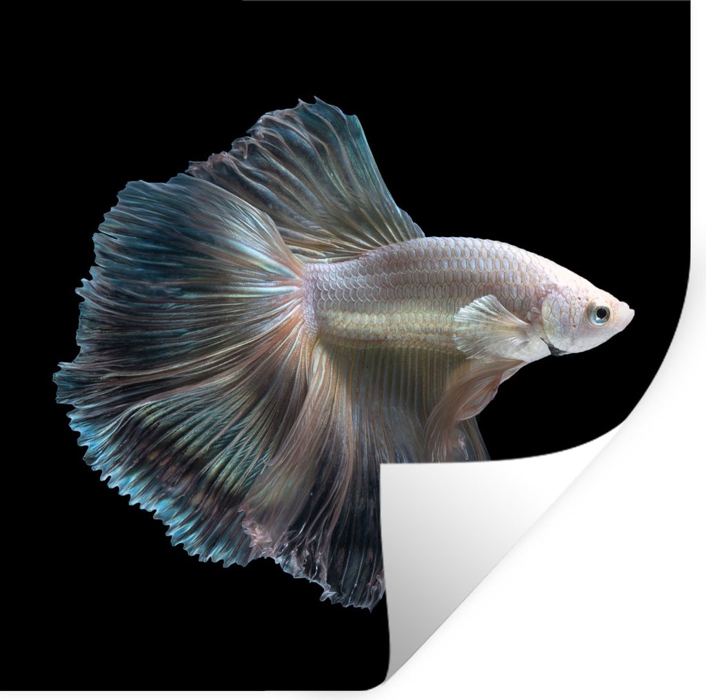 MuchoWow Wandtattoo Wandsticker Wandaufkleber Fisch - Schwanz - Weiß 50x50 cm Selbstklebend und Repositionierbar - Selbstklebend - Fototapeten