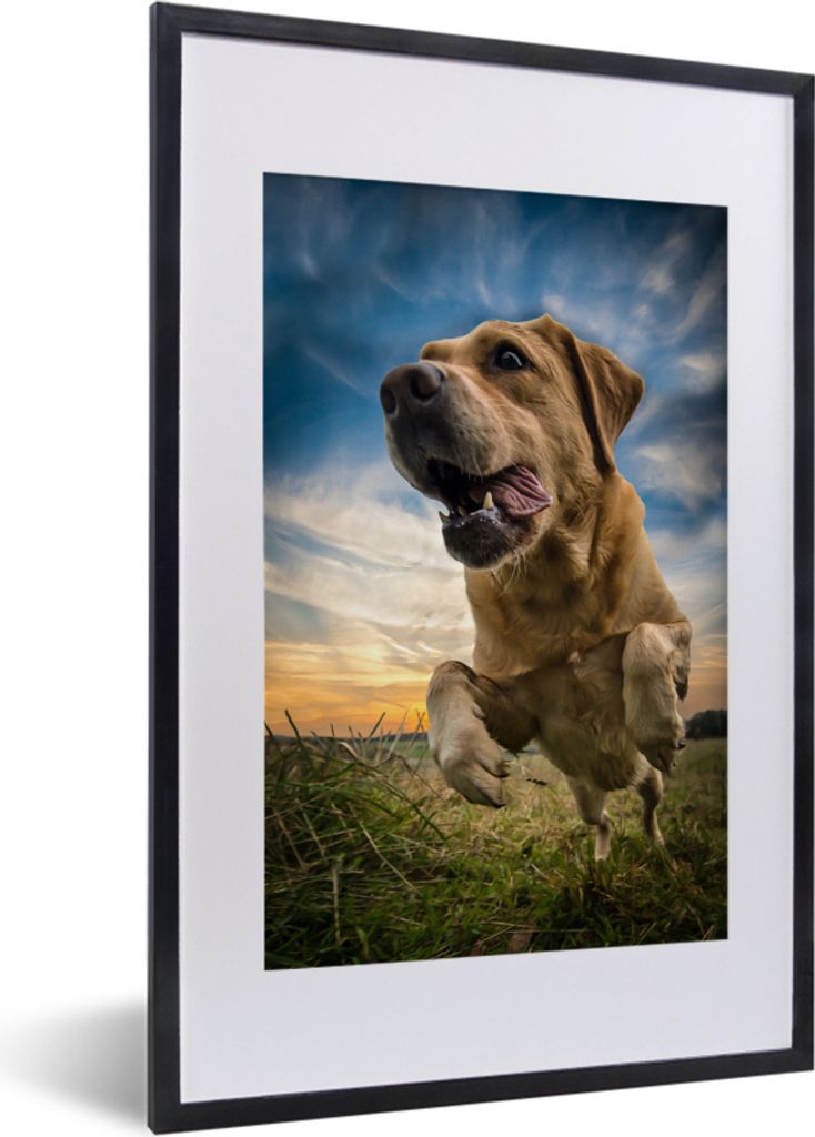MuchoWow MuchoWow Gerahmtes Poster Bunter Himmel über diesem Labrador Retriever 40x60 cm - Poster mit zchwarzem Bilderrahmen - Poster in Rahmen