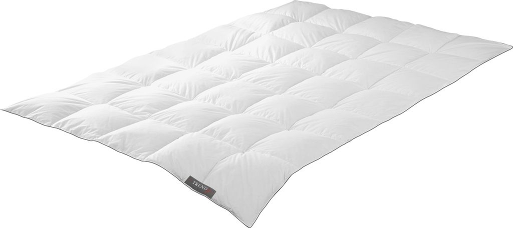 Badenia Trendline Daunendecke Princess medium Größe 135x200 cm Ganzjahresdecke