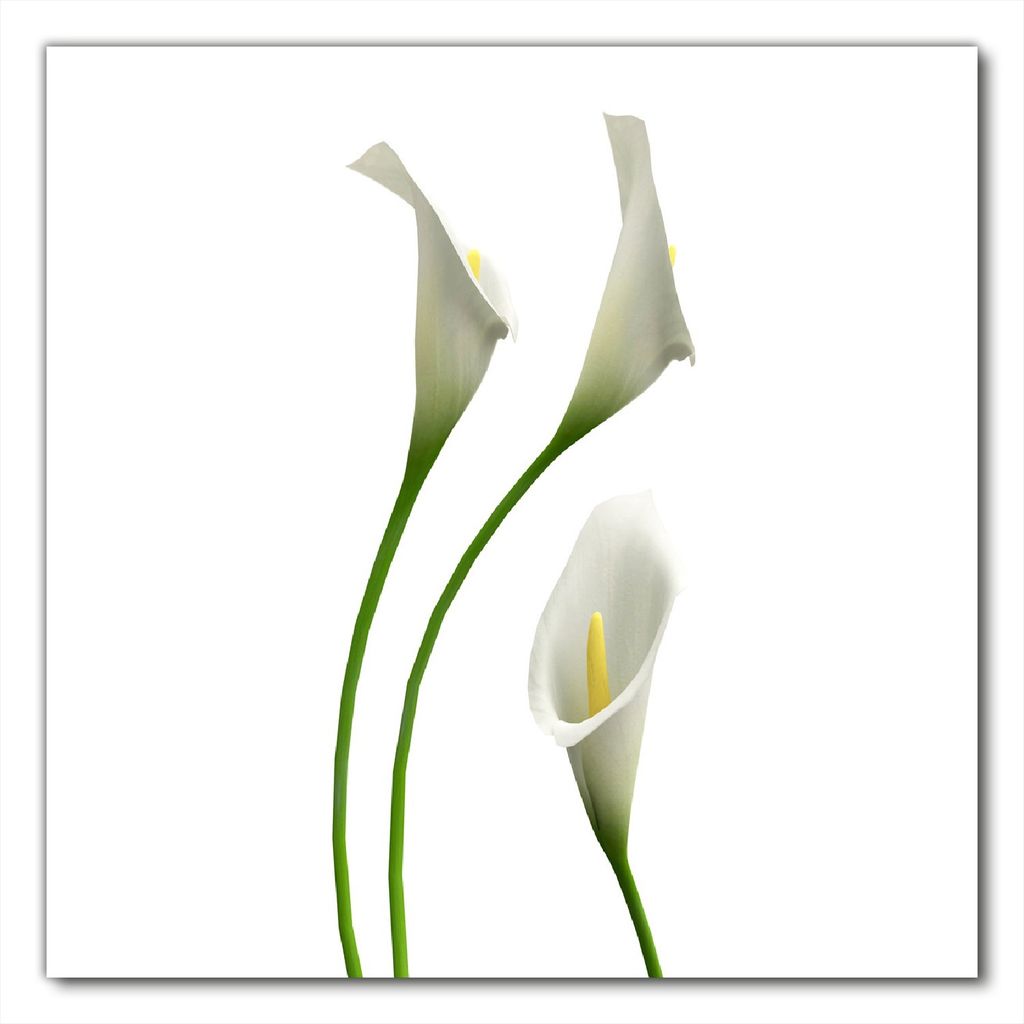 Wallario selbstklebende Möbelfolie/ Tischdecke für Innen und Außen, Größe: 70 x 70 cm - Callas weiß gelb