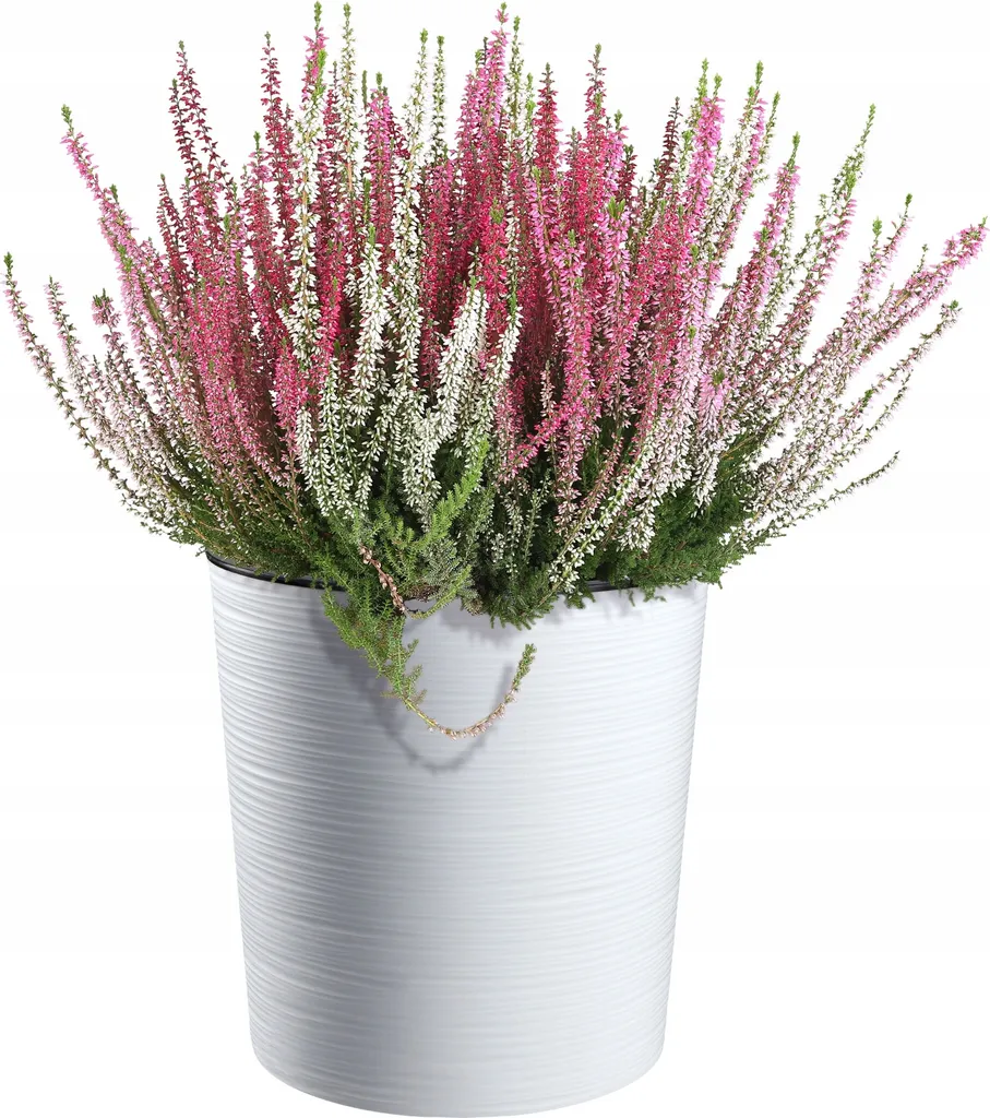 Pot de fleurs design blanc avec insert pratique et finition bois 30 cm