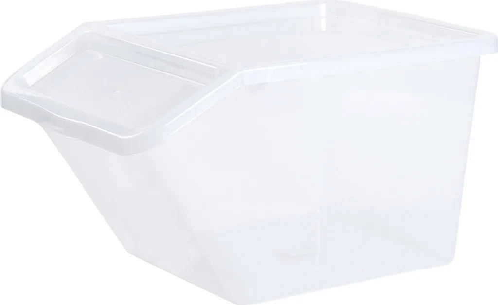 Plast Team 22870800 Basic Box Slanted Boîte de Rangement de 40L Transparente