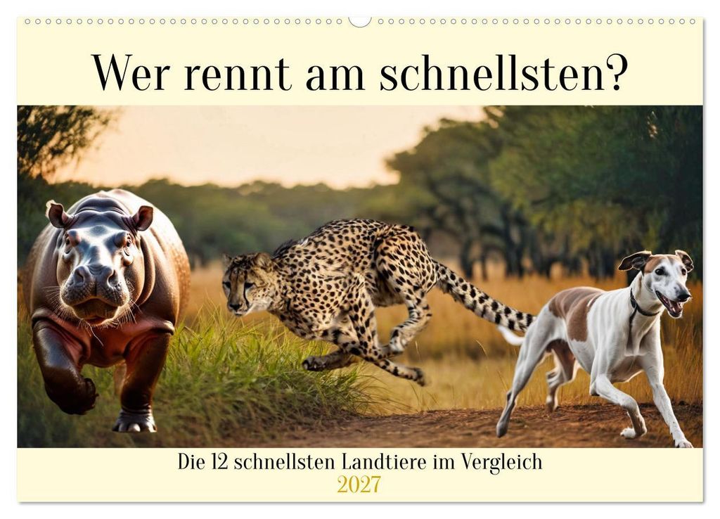 Wer rennt am schnellsten? (Wandkalender 2027 DIN A2 quer), CALVENDO Monatskalender