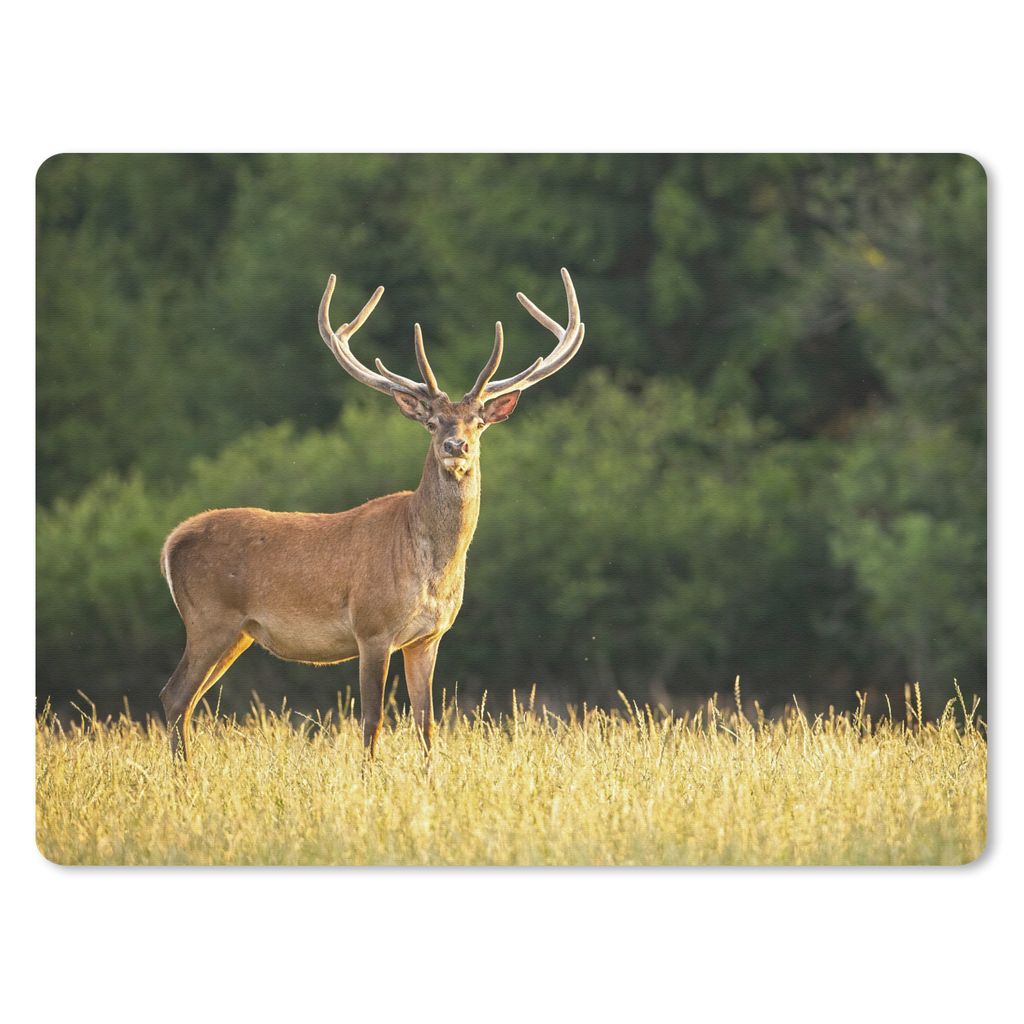 MuchoWow Mauspad Mousepad Hirsch - Geweih - Gras - Natur - Tiere - Grün 40x30 cm - Mousepads - Maus Mat - Pad - Mausunterlage - Anti Rutsch