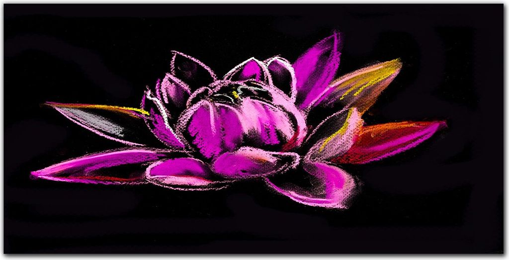 Coloray - Bild aus Glas - Glasbilder - 100 x 50 cm - Dekoration Wohnzimmer Wanddekoration Gehärtetes Glas Küche Glasblock mit Bild - Blumen