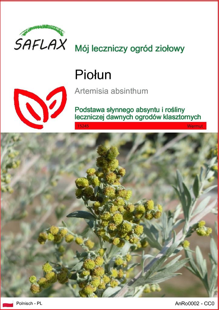 SAFLAX - Piołun - 500 Nasiona - Artemisia absinthum Zdjęcie produktu 