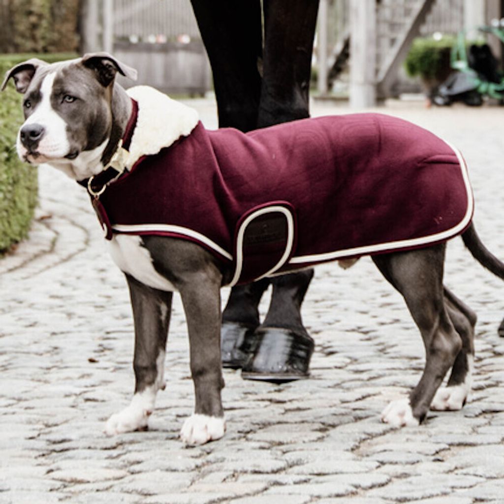 Kentucky Dogwear Hundemantel Heavy Fleece Hundejacke Bordeaux XL