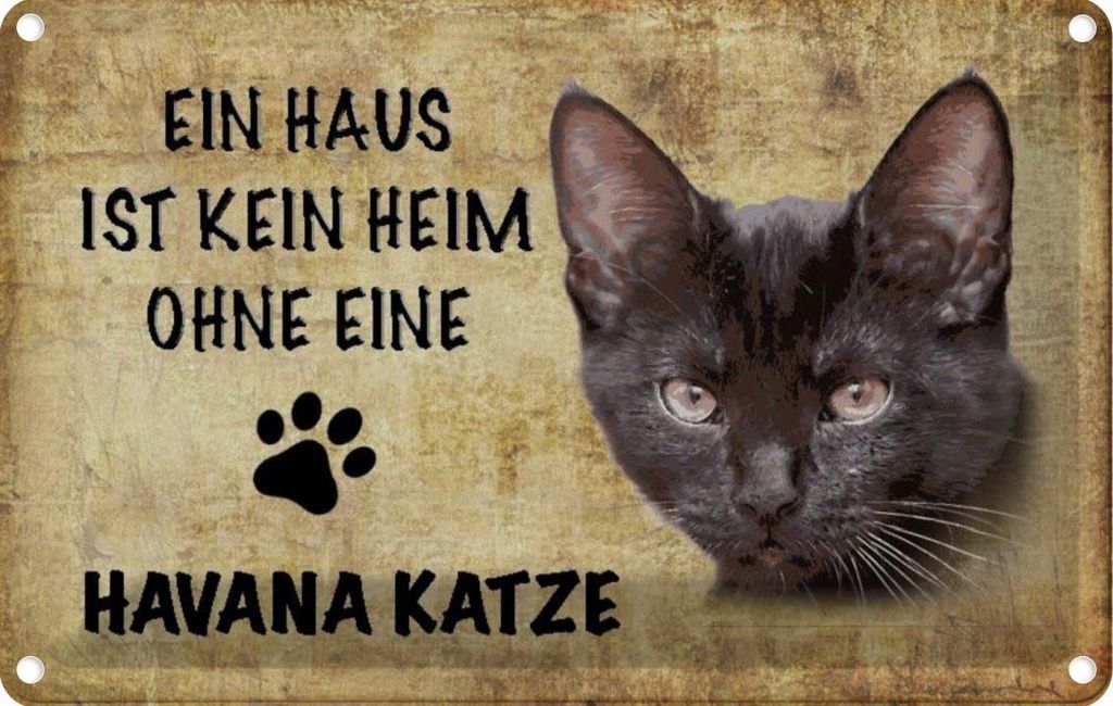 vianmo Blechschild 20x30 cm Havana Katze ohne kein Heim Tier Haustier