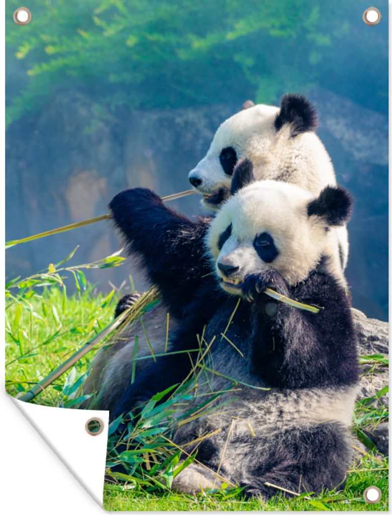 MuchoWow 90x120 cm Outdoor-Poster Gartendeko Sichtschutz Garten Poster für den Garten Panda - Bambus - Gras - Tiere