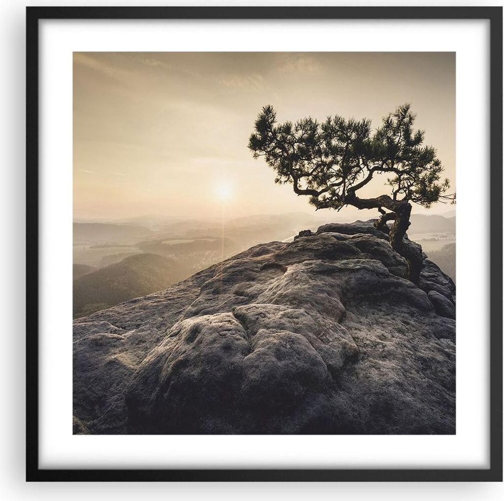 Gerahmtes Poster - Schwarzer Rahmen - Alt Kiefer Berge - 50x50 cm - Wand Bild - Wanddeko - Wandbilder - Kunstposter - Wandposter - Bilderrahmen - B...