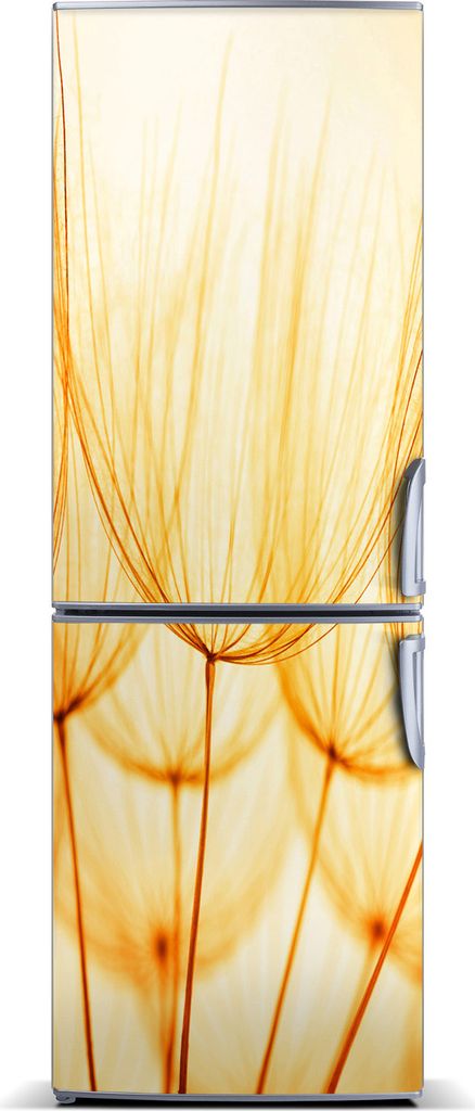 Tulup Kühlschrankdekoration - Magnetmatte - 70 cm x 190 cm - Magnet auf dem Kühlschrank - Löwenzahn Samen