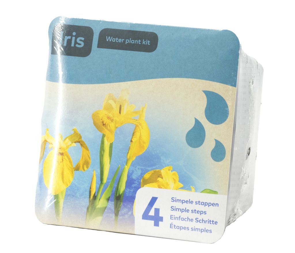 Dehner Teichpflanzen Set Iris, 6-teilig, 3 x Gelbe Sumpf-Iris je 5 - 25 cm, Pflanzkorb Ø 18 cm, Teichboden, Kies