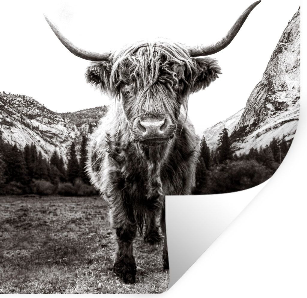 MuchoWow Wandtattoo Wandsticker Wandaufkleber Berg - Schwarz - Weiß - Schottischer Highlander 50x50 cm Selbstklebend und Repositionierbar - Selb...
