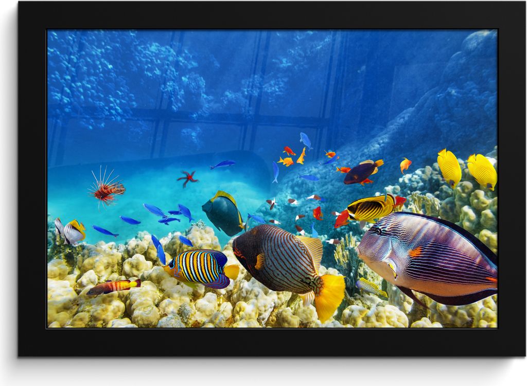 MuchoWow MuchoWow Gerahmtes Poster Meer - Fische - Korallen - Unterwasserwelt 30x20 cm - Poster mit zchwarzem Bilderrahmen - Kunstdruck - Bild-...