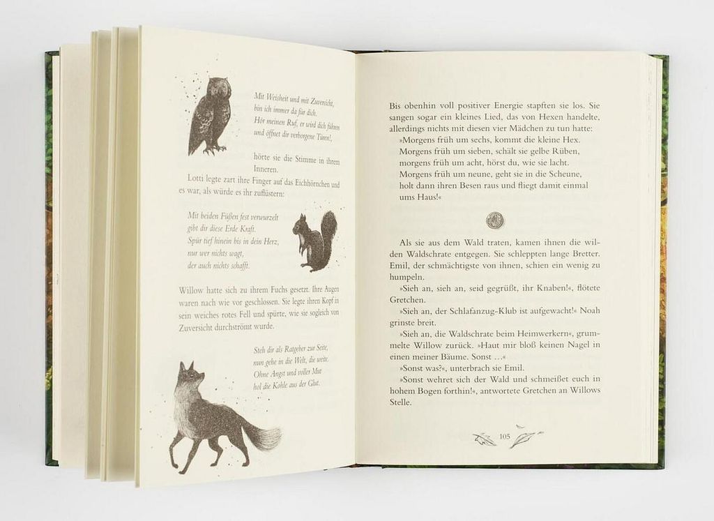 Ein Mädchen namens Willow 2: Waldgeflüster Zdjęcie produktu 