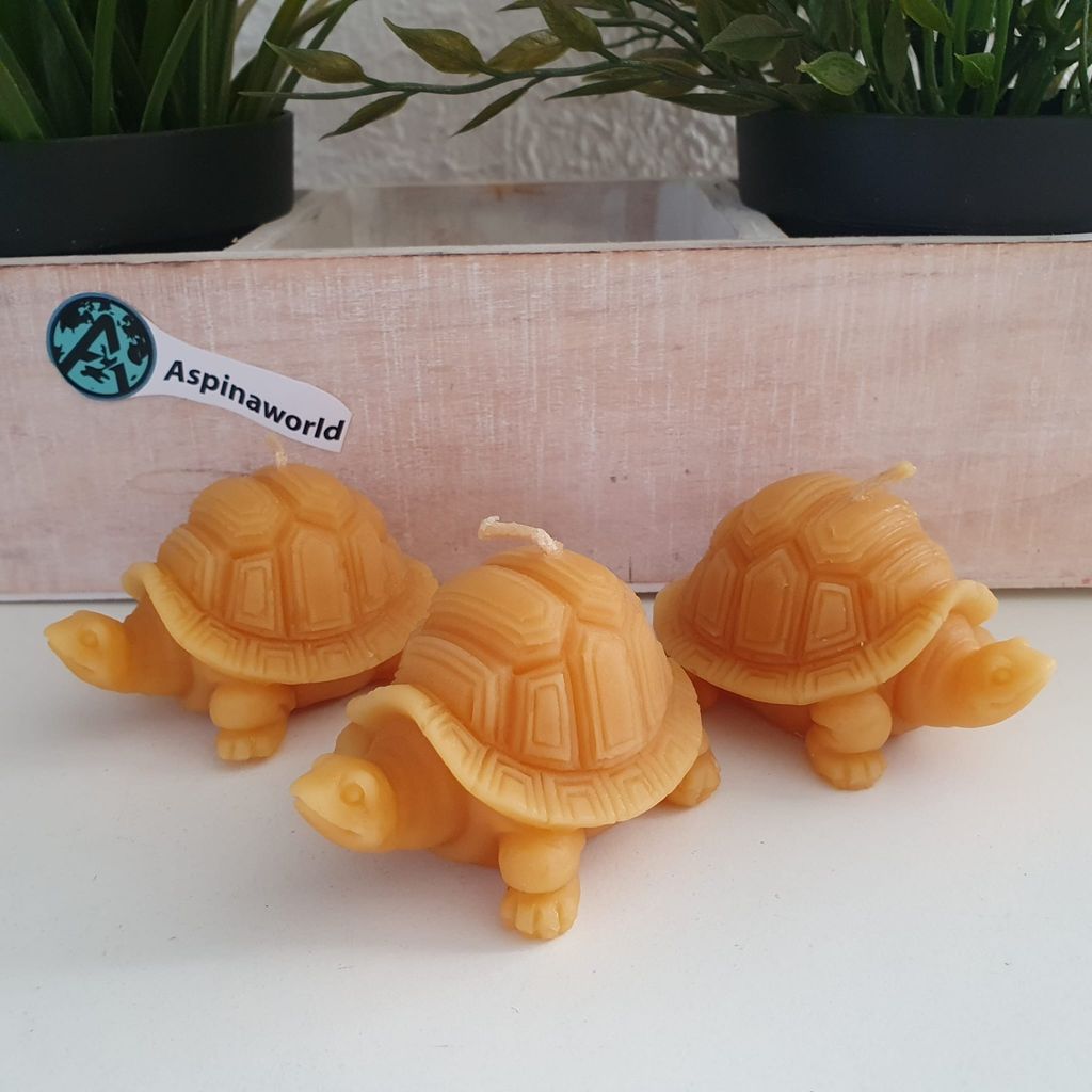 Schildkröten Kerzen 3er Set aus 100% Bienenwachs