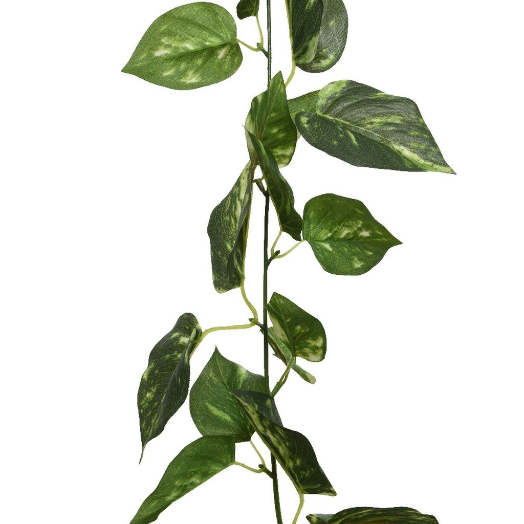 Kaemingk Efeutute Blätter-Girlande Grün