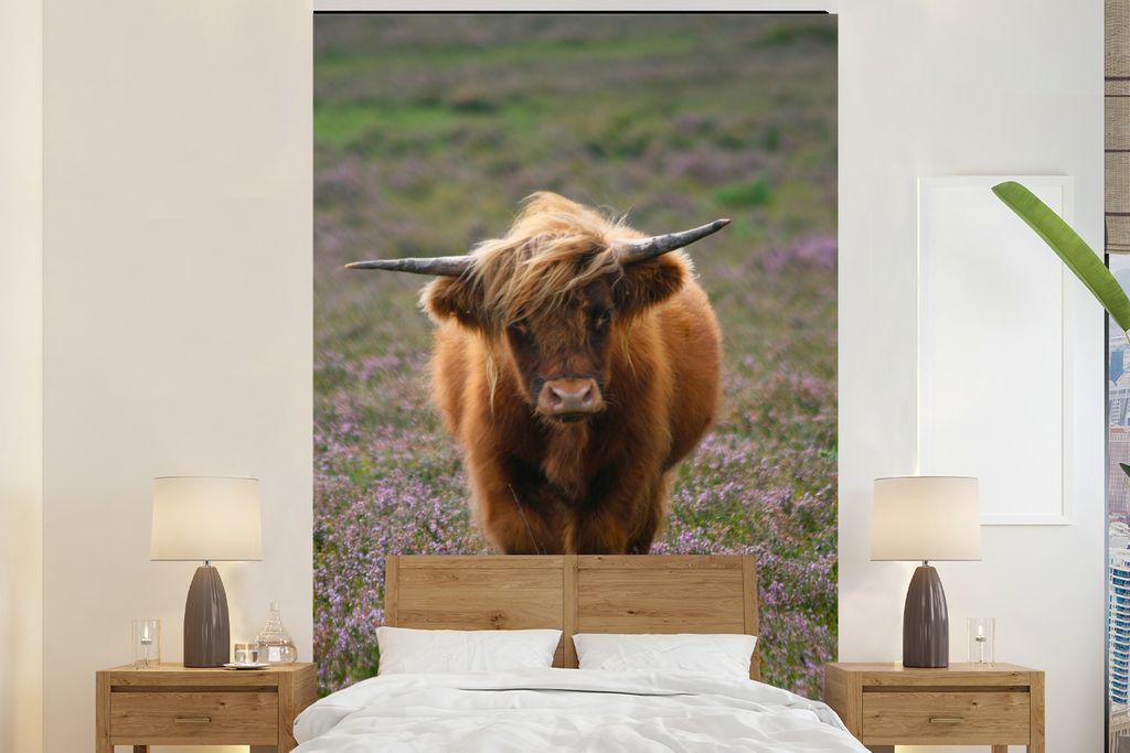 MuchoWow Fototapete für Wohnzimmer oder Schlafzimmer Wandtapete Vinyl Motivtapete Schottische Hochlandbewohner - Heidelandschaft - Tiere - 155x2...