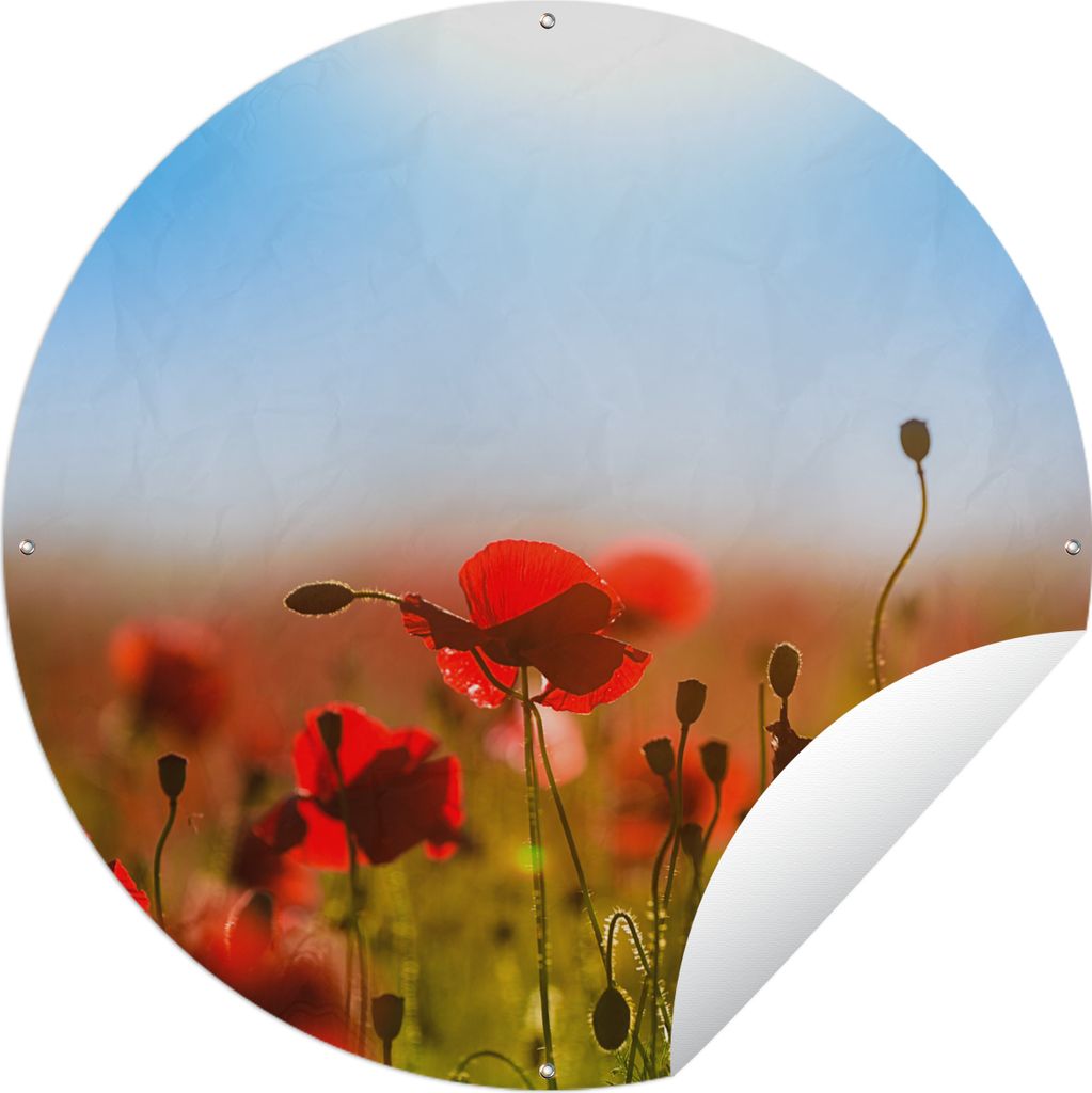 MuchoWow Gartenposter Outdoor-Poster Rund Mohnblumen unter einem klaren blauen Himmel. Ø 120 cm Gartendeko Rundes Poster draußen