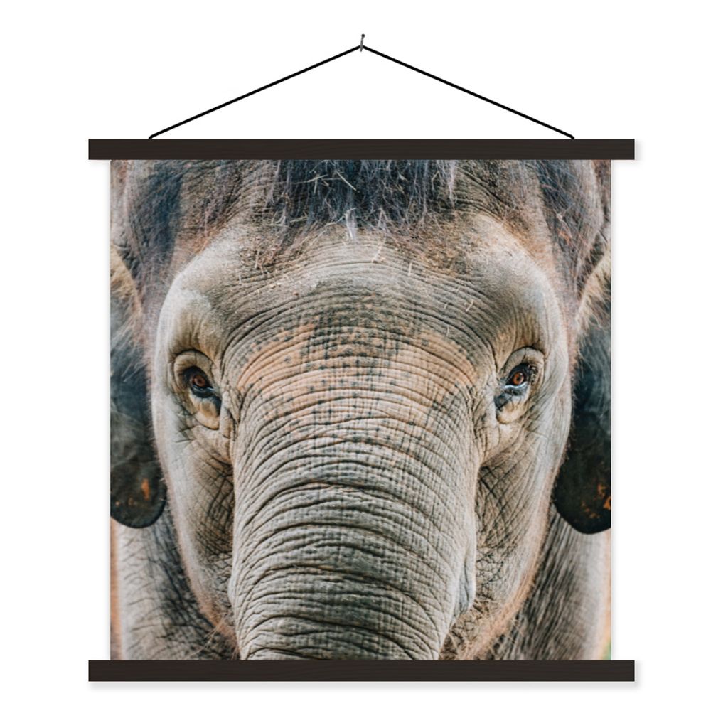 MuchoWow Textilposter Elefant - Porträt - Tiere - Grau 40x40 cm mit schwarzem Rahmen - Fotos