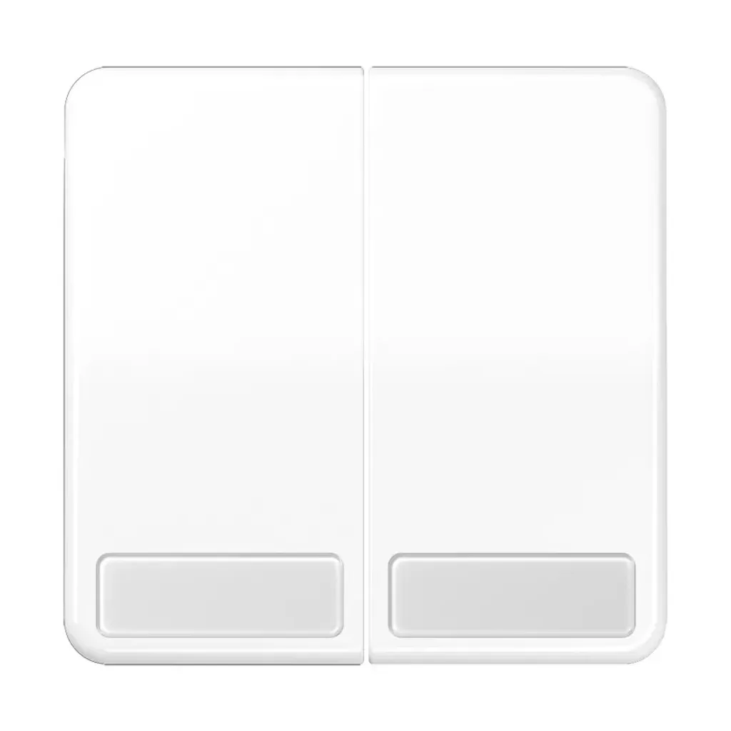 Jung CD 595 NA WW Bascule avec champ d'inscription CD595NAWW Blanc