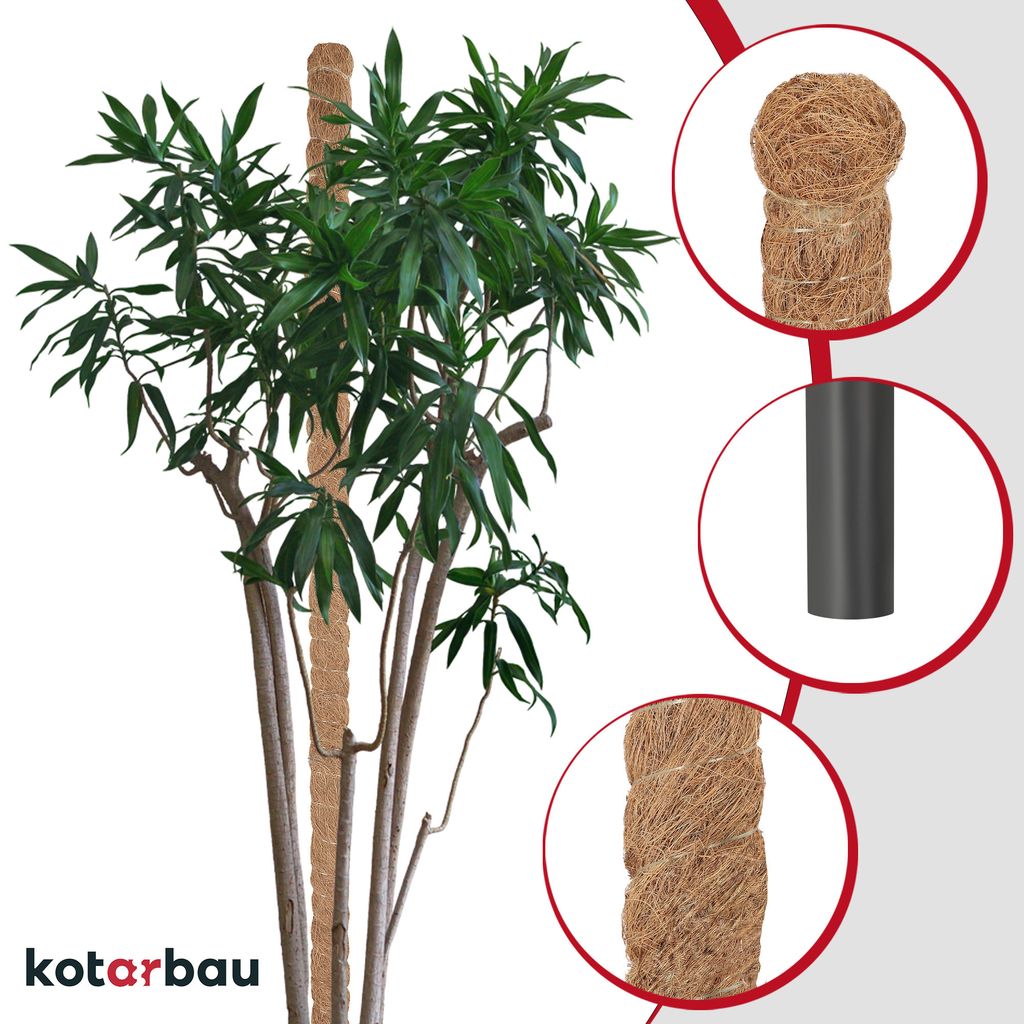 KOTARBAU® Sada 4 mechových tyčí pro Monstera Coconut Obrázek produktu 4