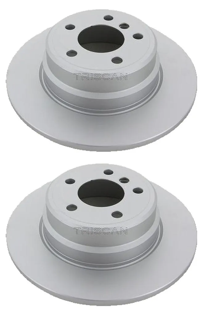 2 Disques de Frein TRISCAN Ø 324 mm pour BMW X5 E53 - Performance OEM