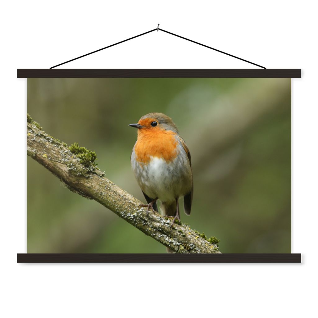 MuchoWow Textilposter Vogel - Rotkehlchen - Zweig - Pflanzen 90x60 cm mit schwarzem Rahmen - Aufhängungssatz