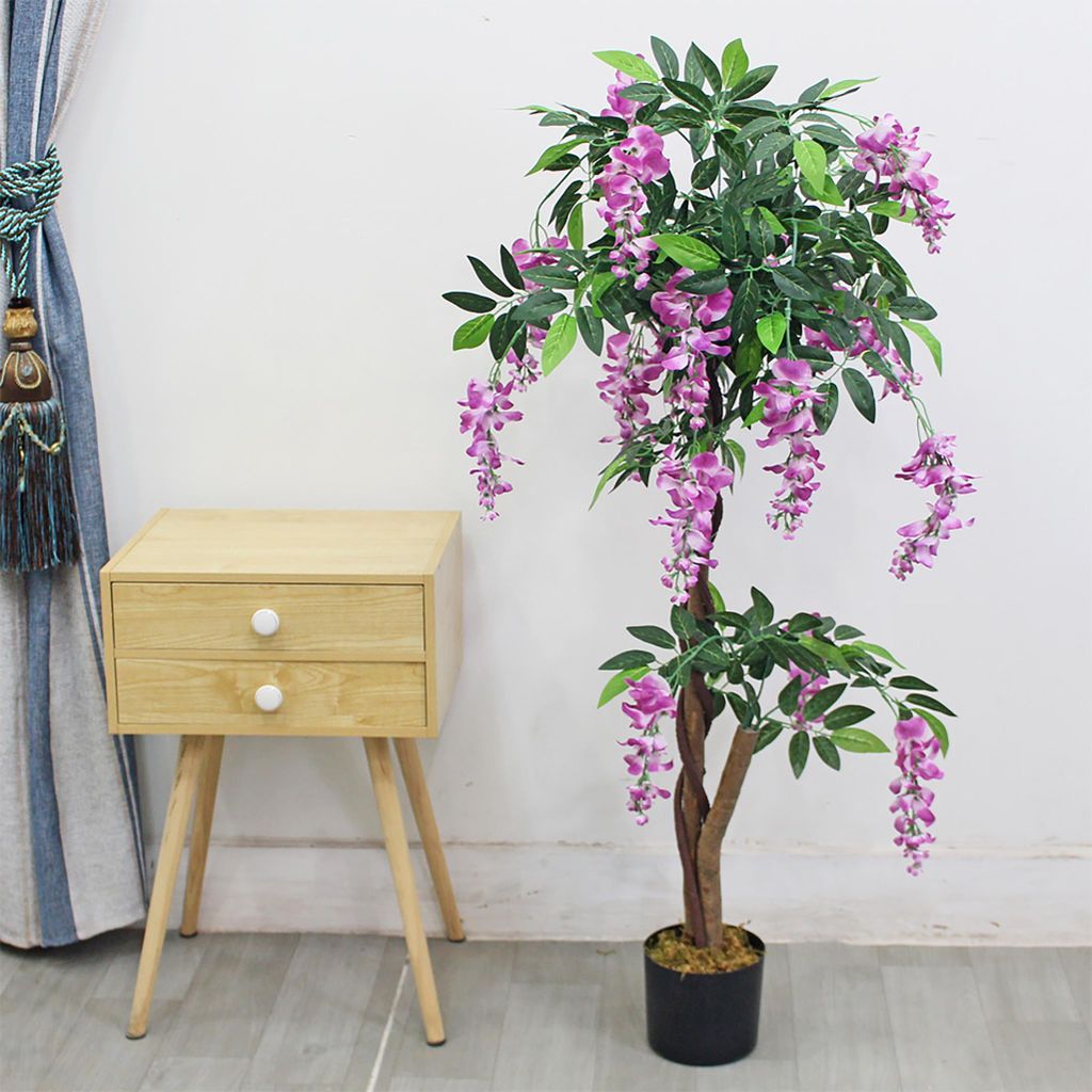 kugelbaum bonsai Bonsai 'Carmona' Kugelform kaufen | Bonsai 'Carmona'