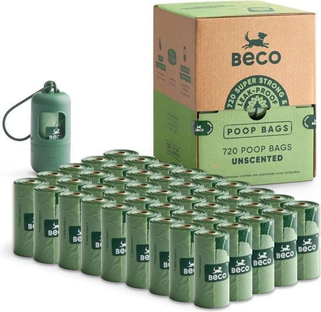Batterie 9V Recharge Rapide USB - Lithium Haute Performance Eco-Responsable