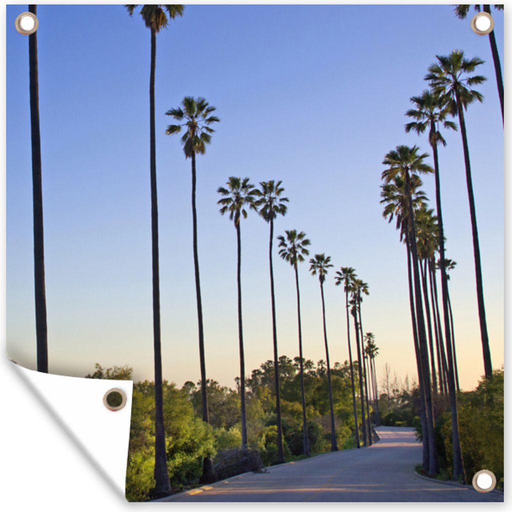 MuchoWow 100x100 cm Outdoor-Poster Gartendeko Sichtschutz Garten Poster für den Garten Die Reihen der hohen Palmen entlang der Straße in Los A...