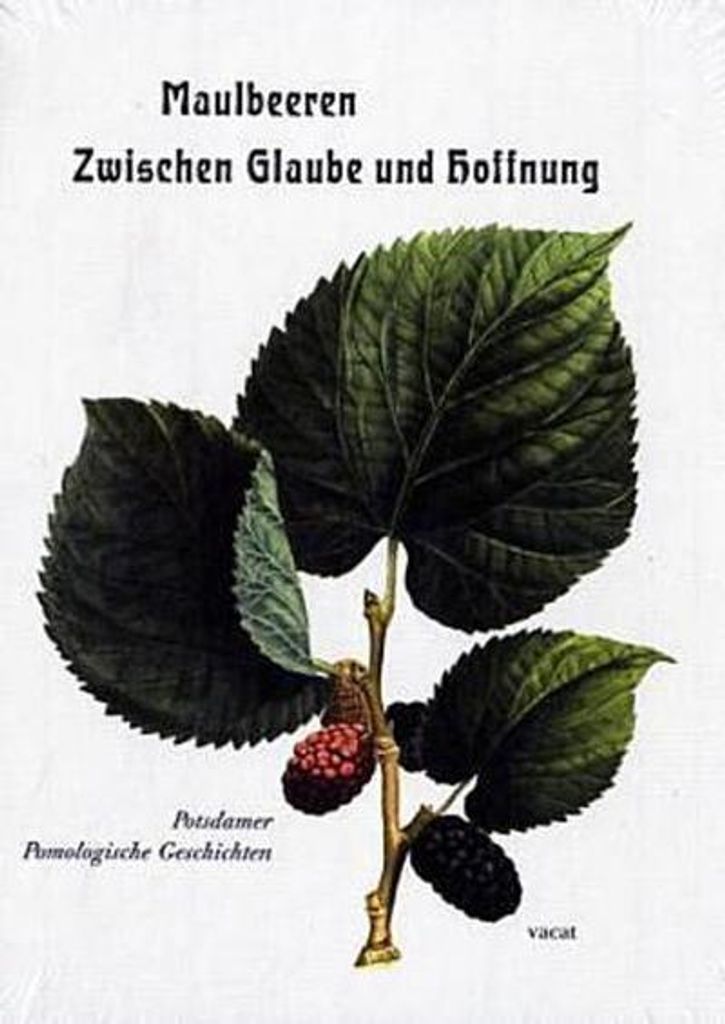 Maulbeeren - Zwischen Glaube und Hoffnung