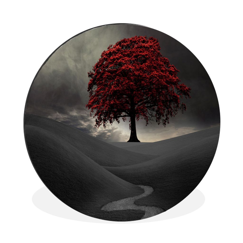 MuchoWow Aluminium Wandkreis Ein Schwarz-Weiß-Foto mit einem großen roten Baum Ø 90 cm Wanddeko Modern Wohnzimmer - Mauerkreis - Wandbilder - ...