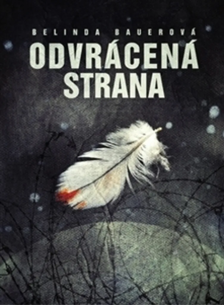Odvrácená strana par Belinda Bauer : Roman Policier Noir Incontournable